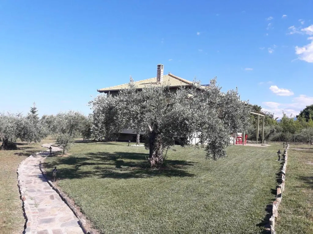 Olive House Olympos & sea