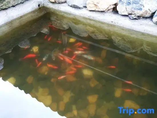 Jing County Tianyuan Zhijia Chinese Inn