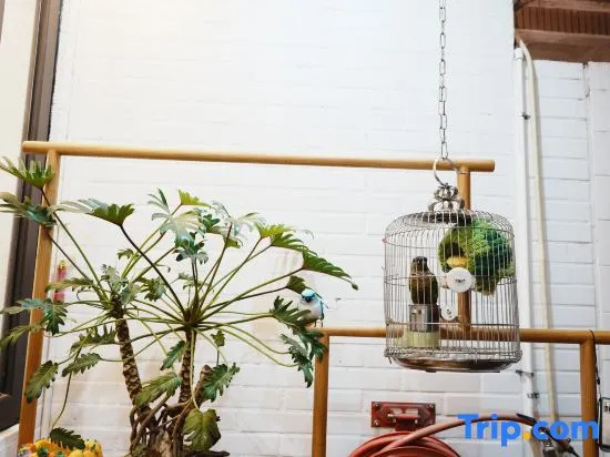 Liwu Homestay (Quanzhou Ancient City West Street)