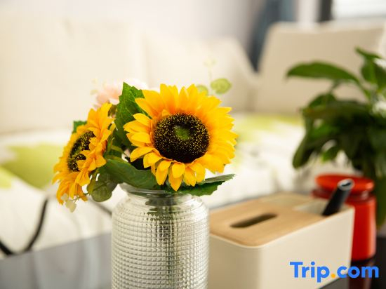 Seven Trees Boutique Inn (Beijing Daxing International Airport)
