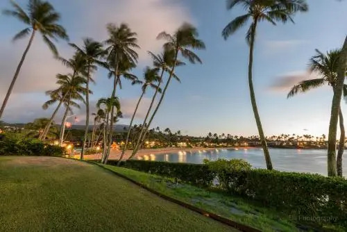 Napili Lani 320