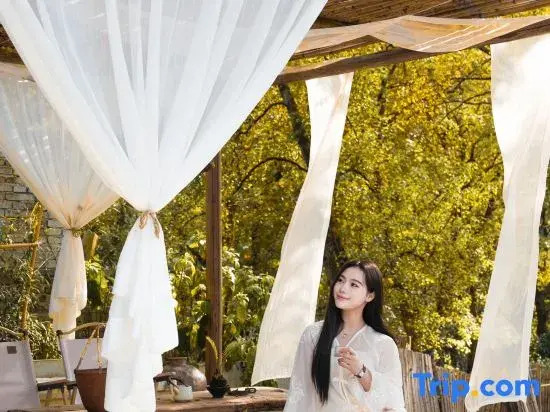 Mingxun·ZaiShanYe