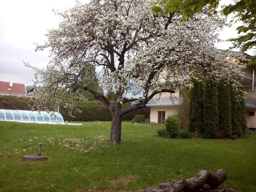 Villa Maggica