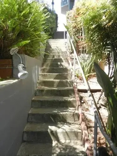 AMSI North Beach/Russian Hill (AMSI-SF.RHGW1120)