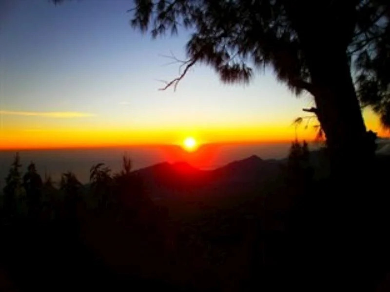 Rinjani Family Homestay