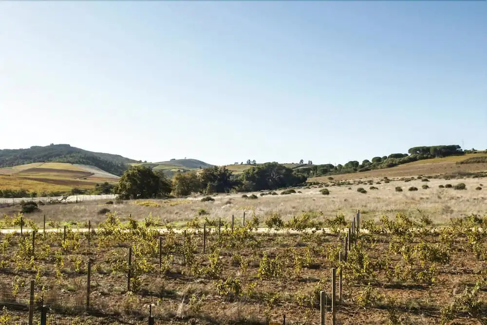 Gilga Wine Guest House