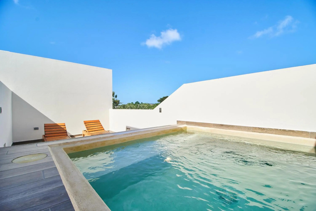 1 bedroom Penthouse with Private Rooftop & Plunge Pool in La Veleta