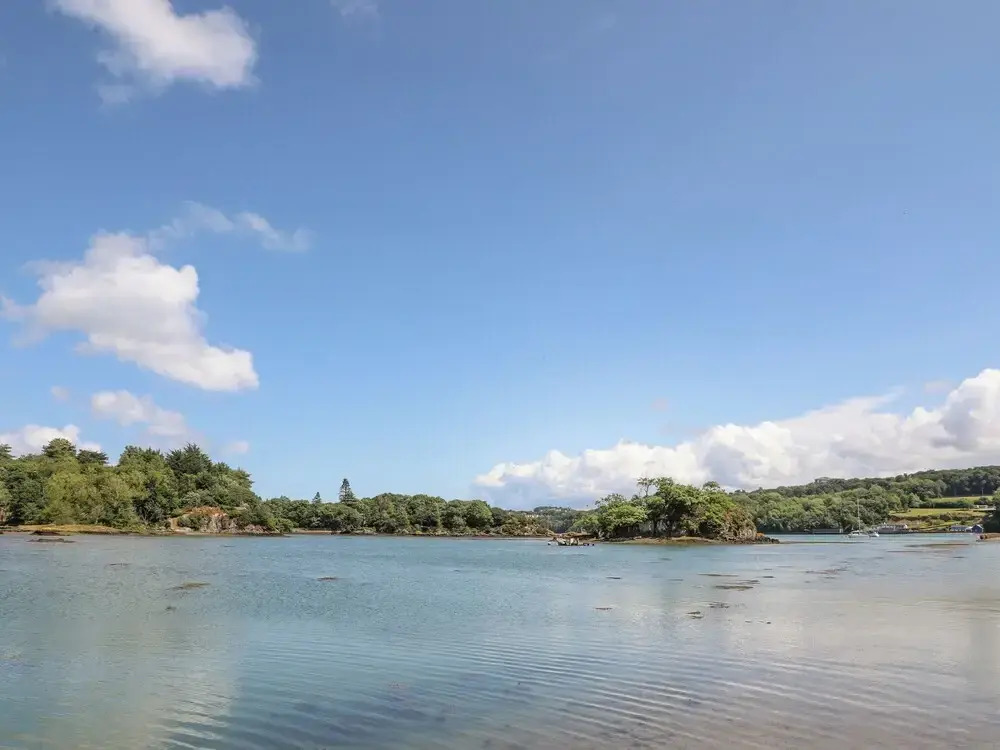 Ynys Faelog