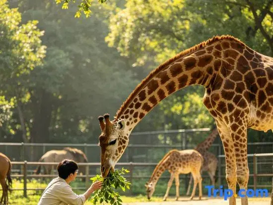 Rezen Prime Hotel (Chimelong Safari Park Guangzhou South Railway Station Branch)