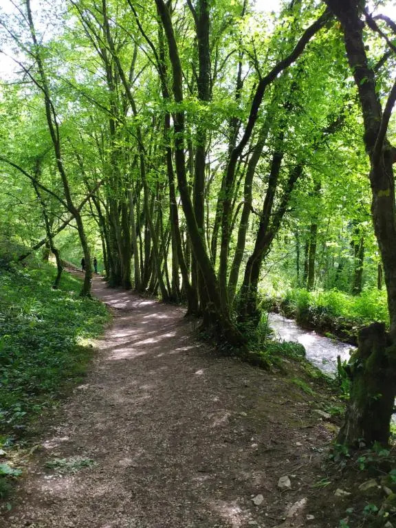 Brou-seillon : entre histoire et nature