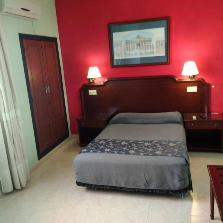 Hotel Nuevo Ara