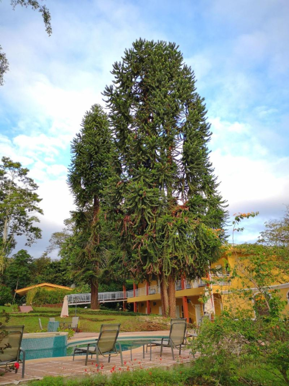Hotel Villa Florencia