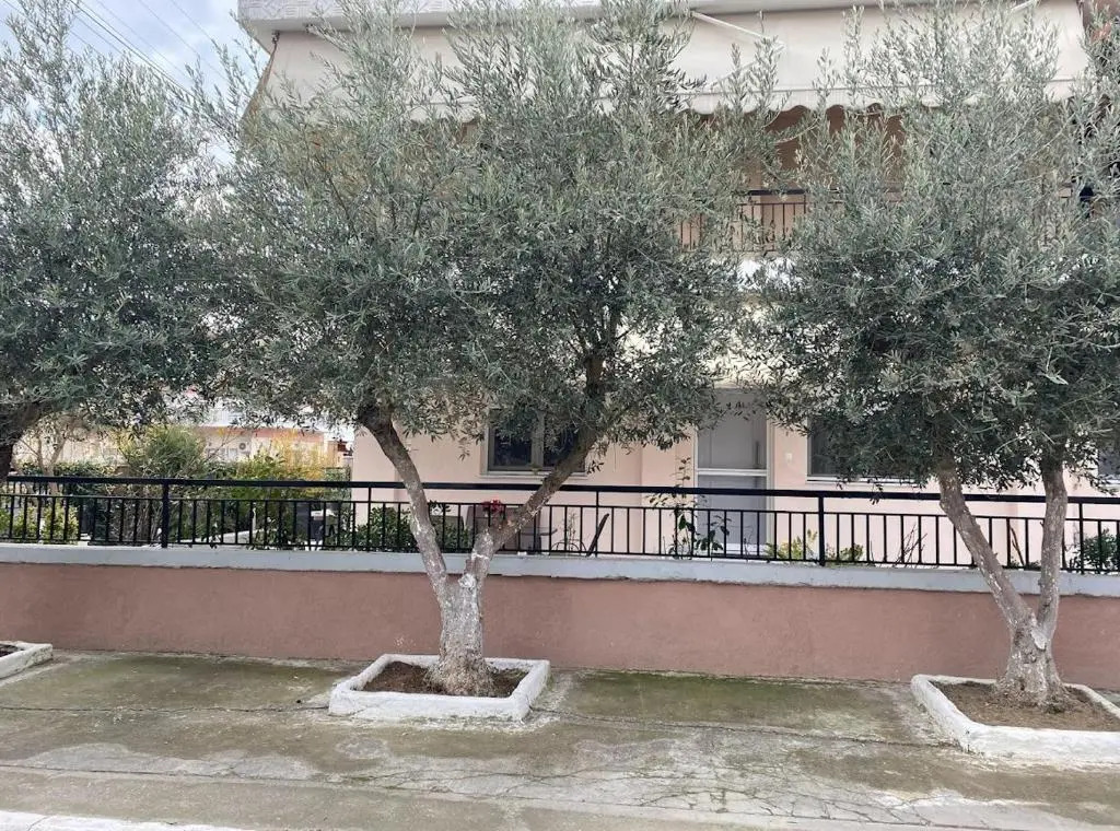 Olive Inn City