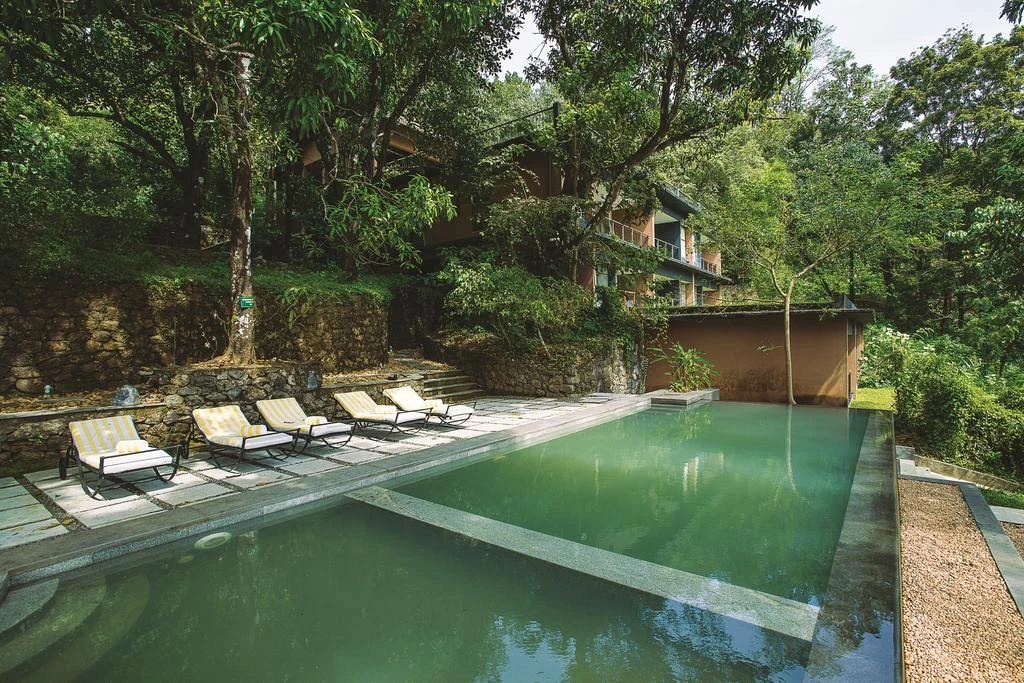 Rainforest Resort