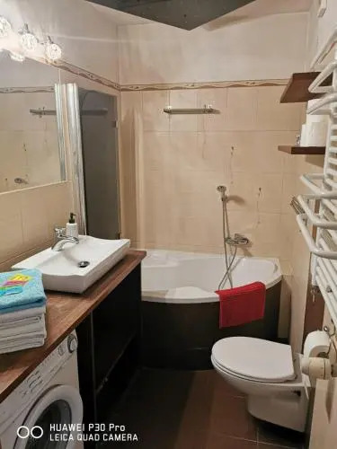 Apartament Ster