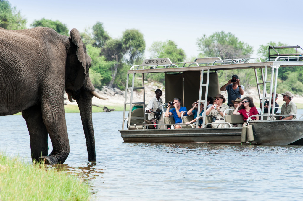 Zambezi Queen by Mantis