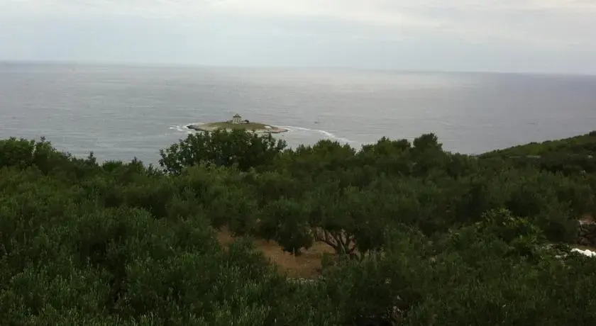 Camp Kopito