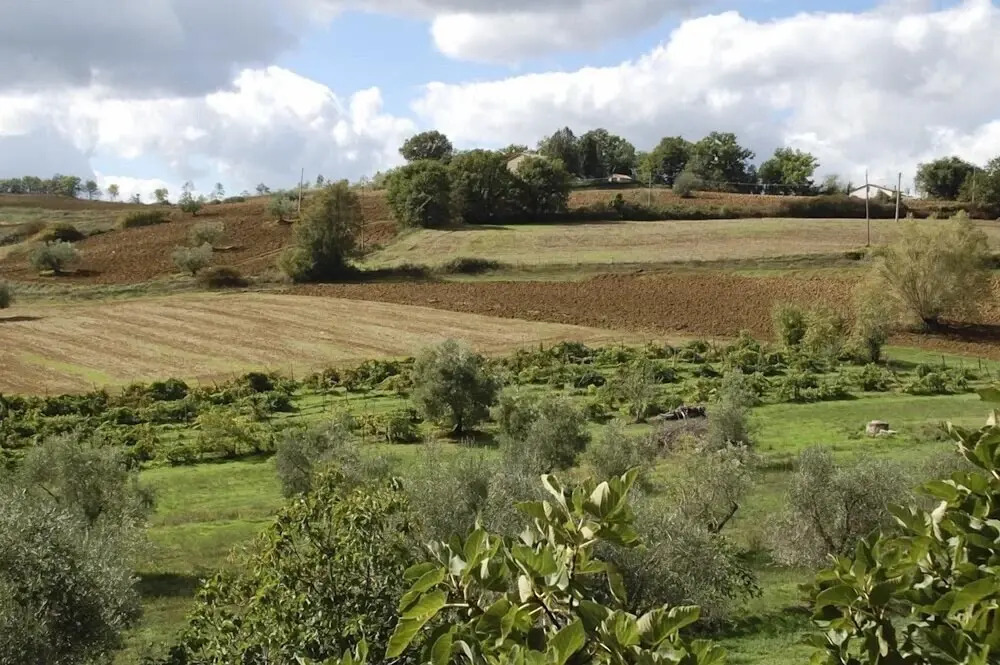 Verdidea - Podere Isabella