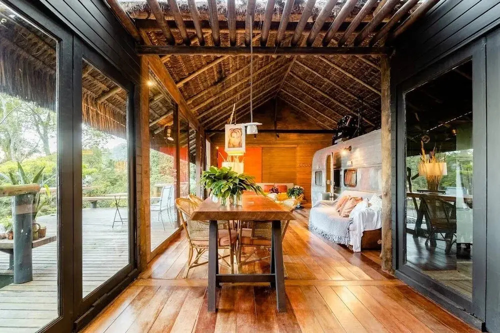 Rainforest Paradise