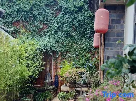 YUNYIN