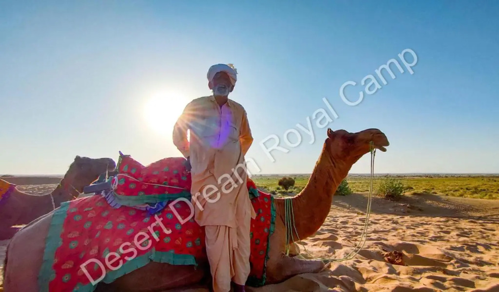 Desert Dream Royal Camp
