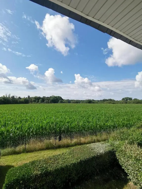 1 pied à la campagne, l'autre en ville T3 - 60m²