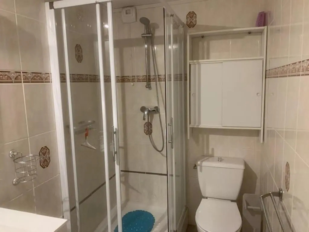Appartement Mont-Dore, 2 pièces, 4 personnes - FR-1-415-110