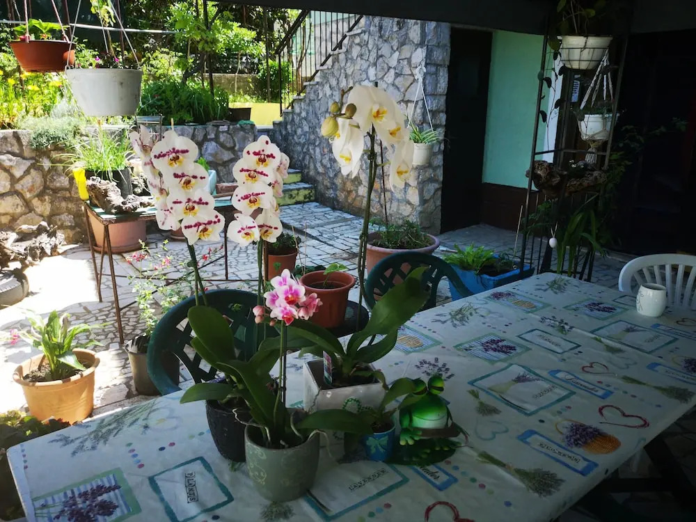 Apartment Babi Artatore