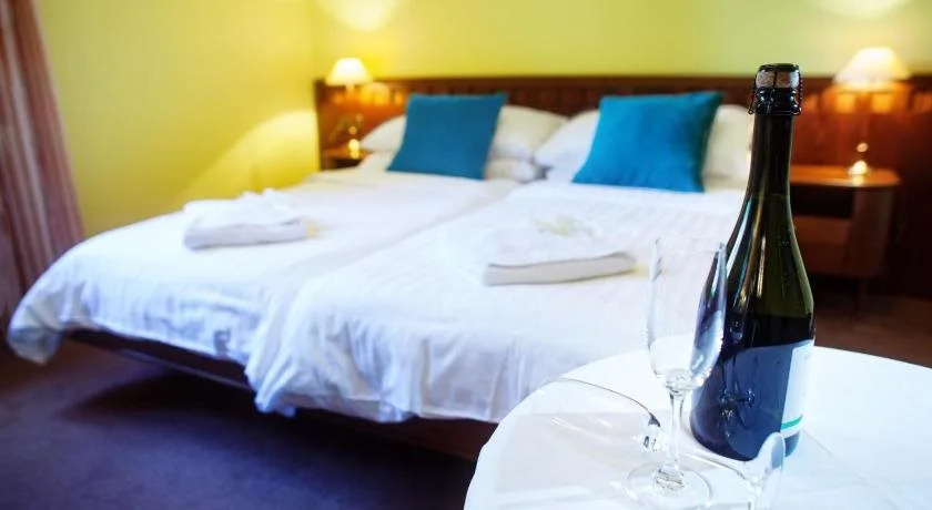 Retro Hotel Villa Ostrava