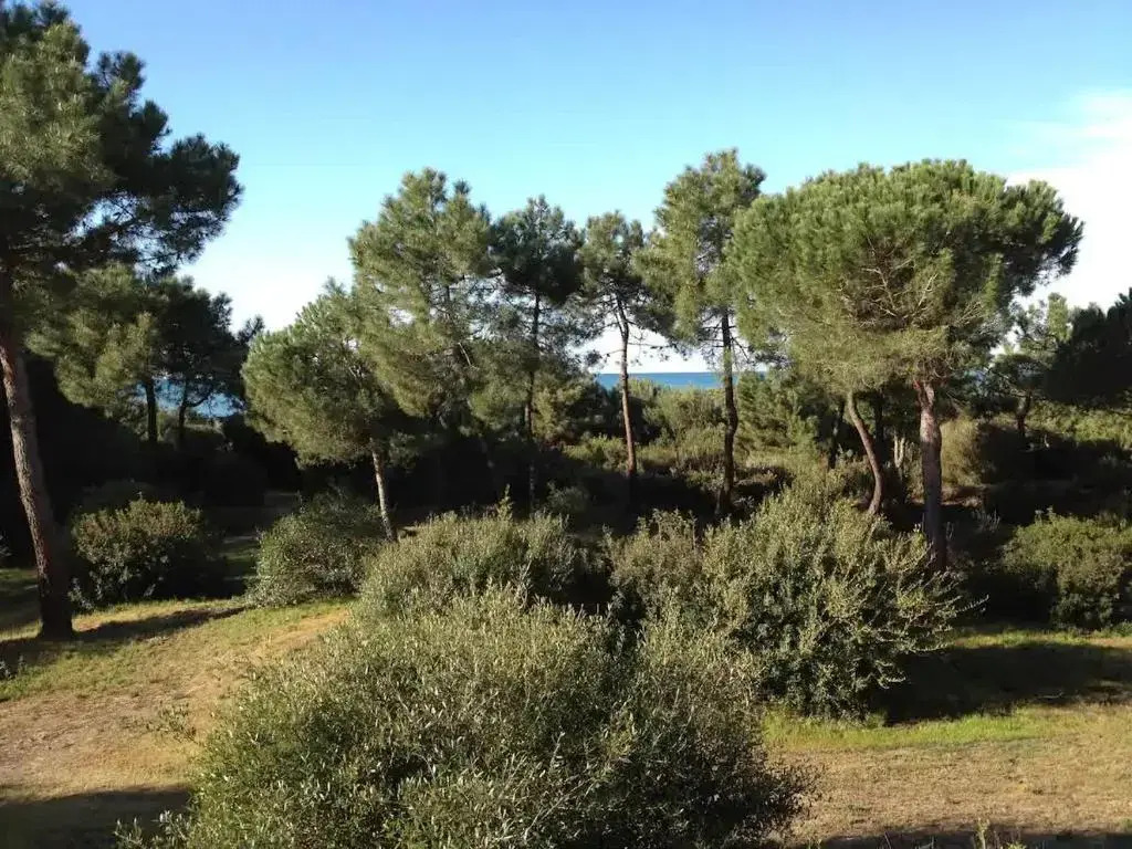Tenuta le marze