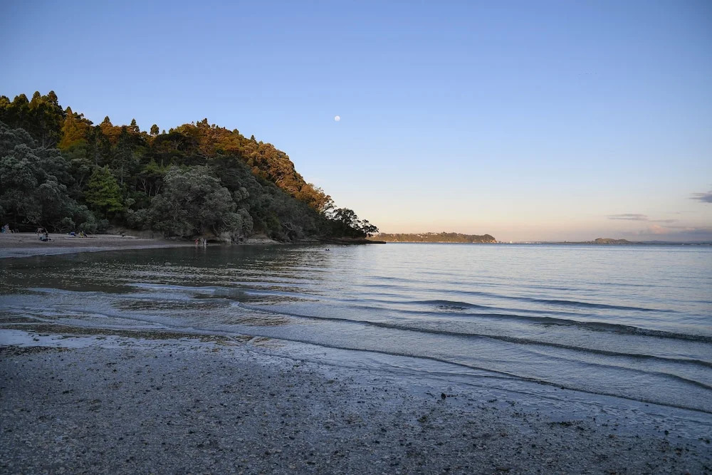 Auckland Clifftop