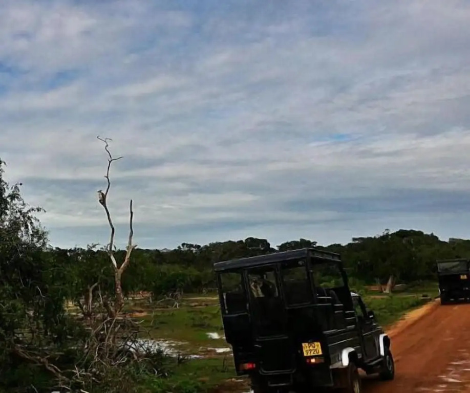 Kottamba Yala Stay & Safari