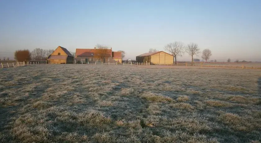 Ijzerweelde
