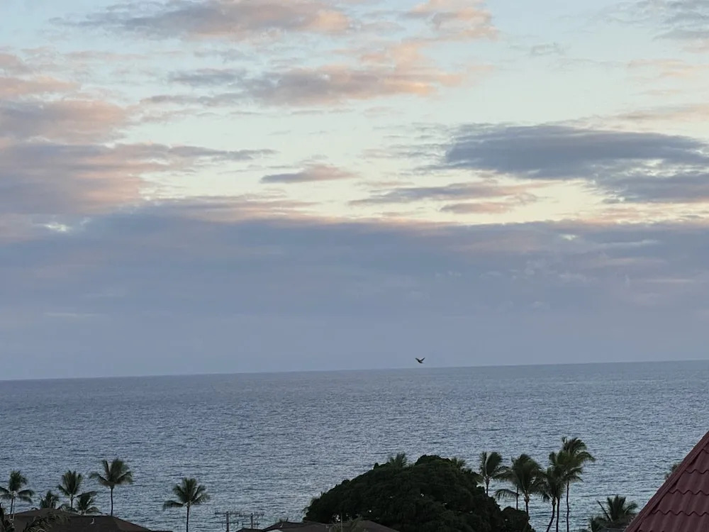 OCEAN VIEW 2 BEDROOM DOWNTOWN CONDO 2 Condo by RedAwning