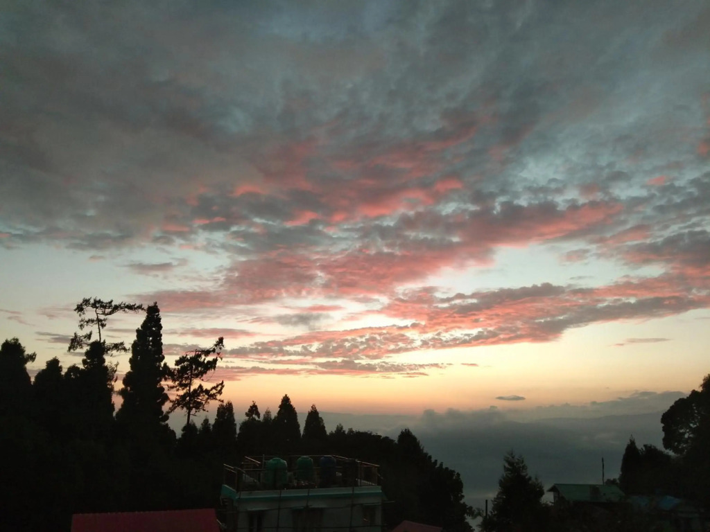 Cypress Homestay