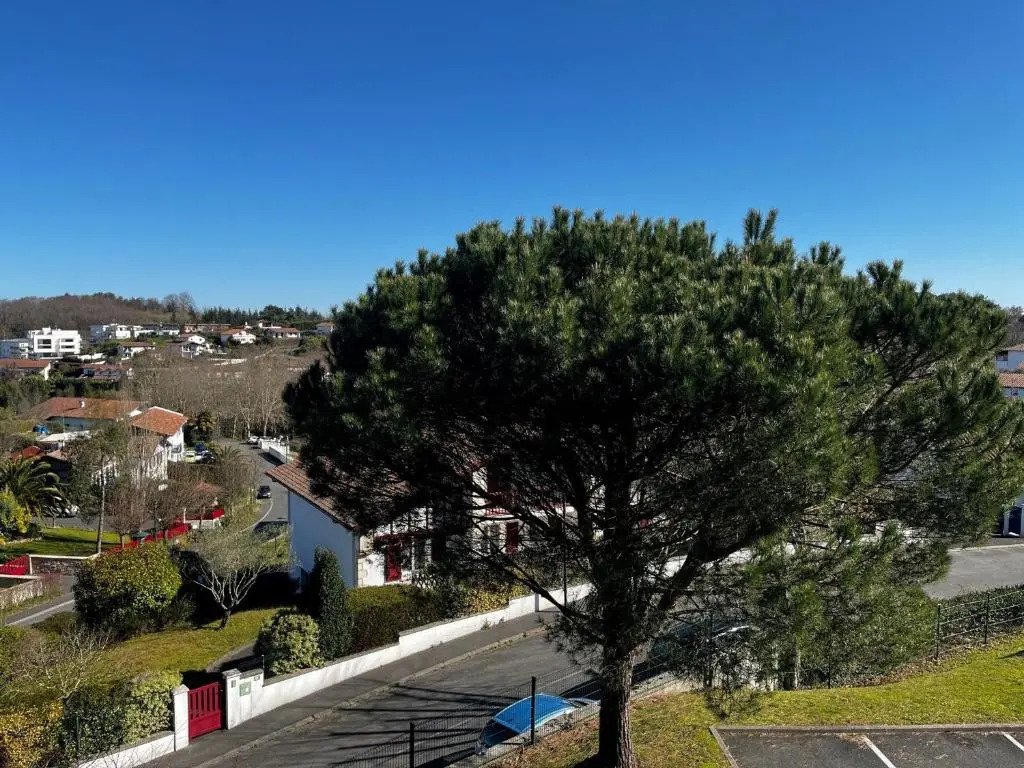 Appartement Saint-Jean-de-Luz, 2 pièces, 2 personnes - FR-1-239-724