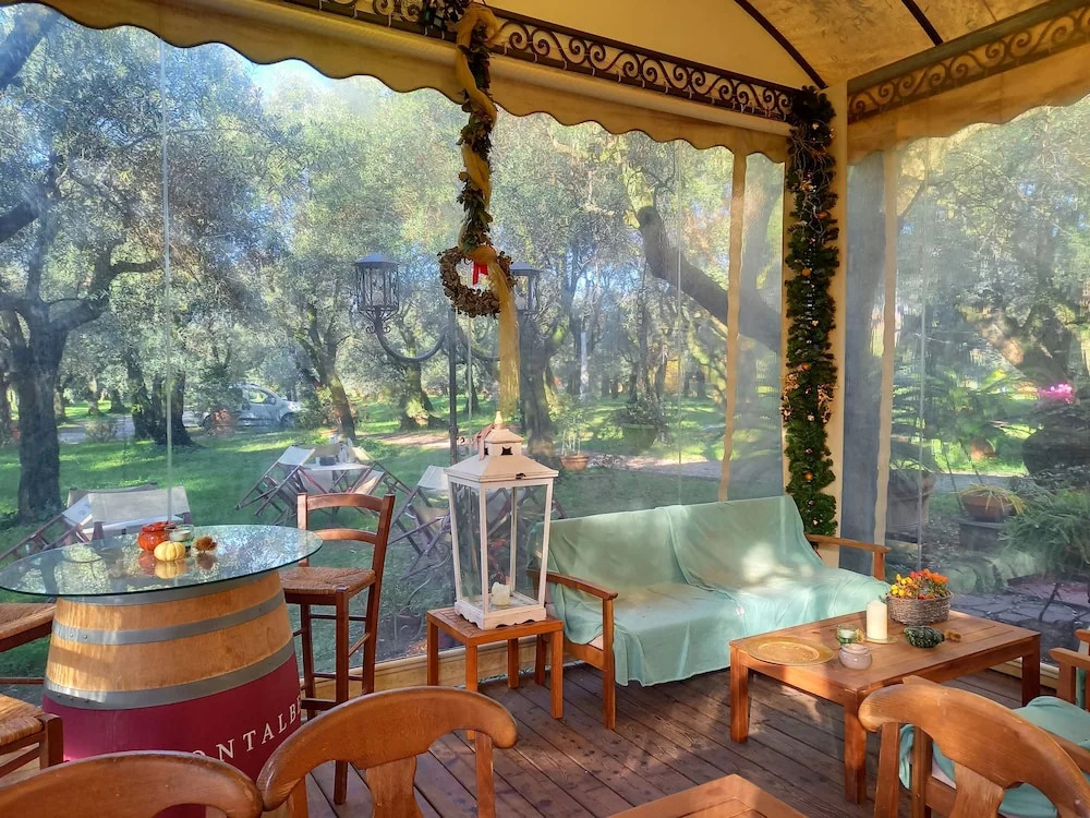 Antico Uliveto
