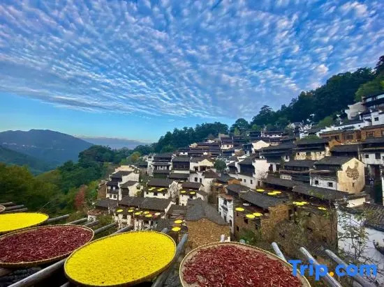 Huahai Shanyu PANORAMA·FLOWERS 270° Scenic Autumn Sun Design Boutique Stay