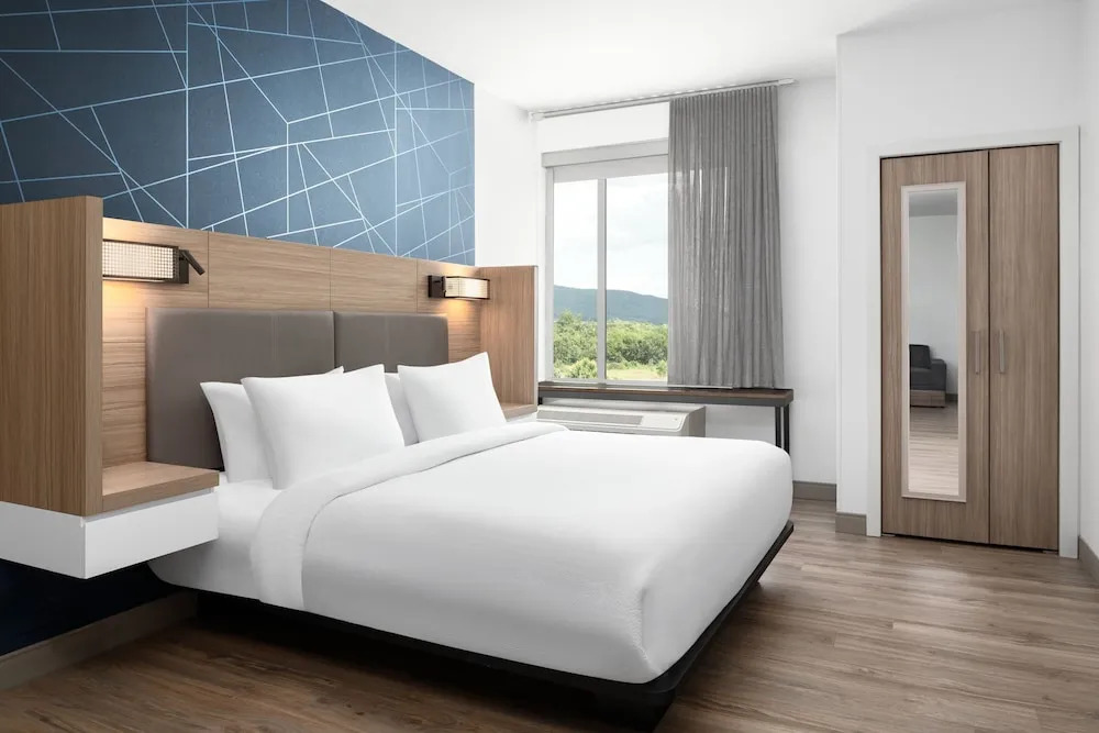 Springhill Suites By Marriott Roanoke North
