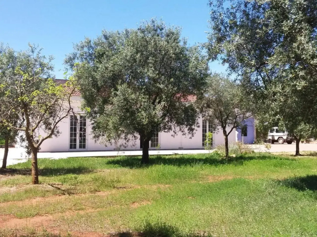 L'angelica B&B