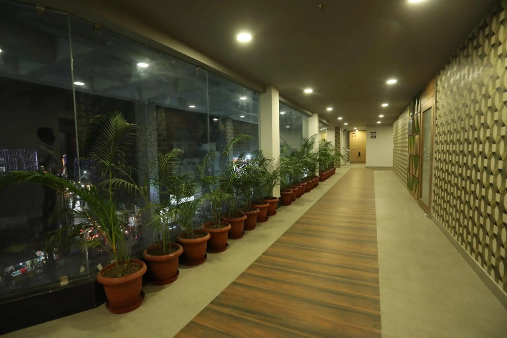 VIPs Hotel Olive