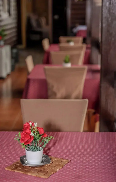 Dolanit Hotels Vila e Drurit