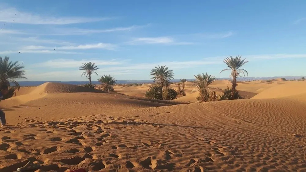 Camp Sahara Nights