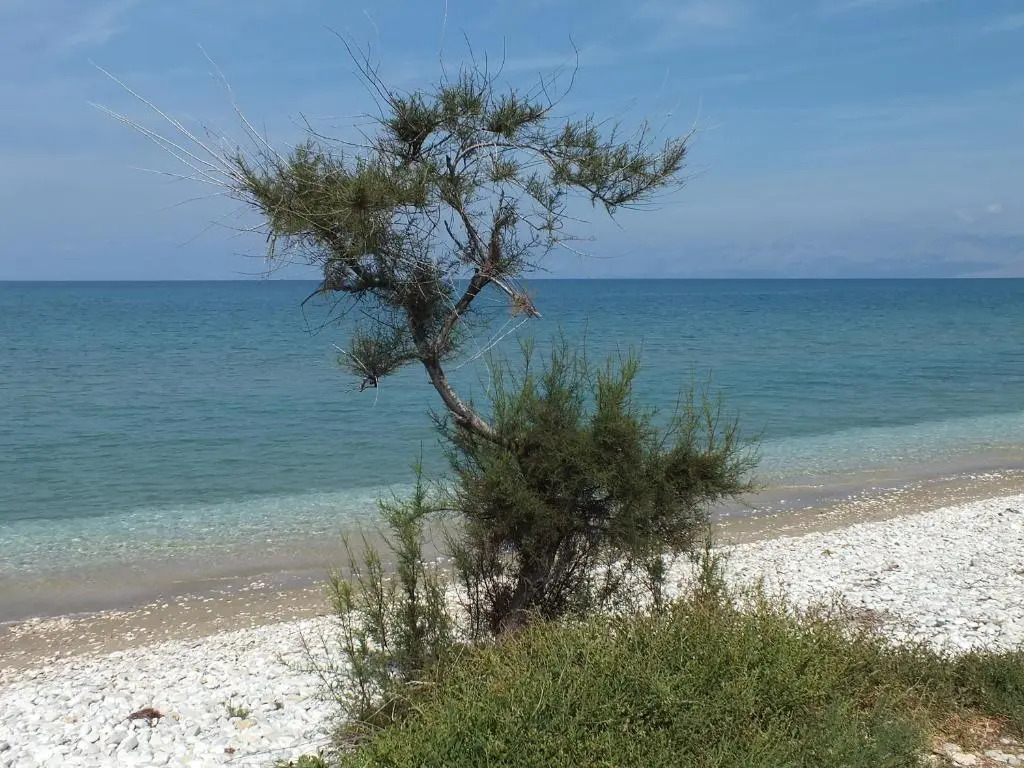 Frosos Beachfront Maisonette Acharavi