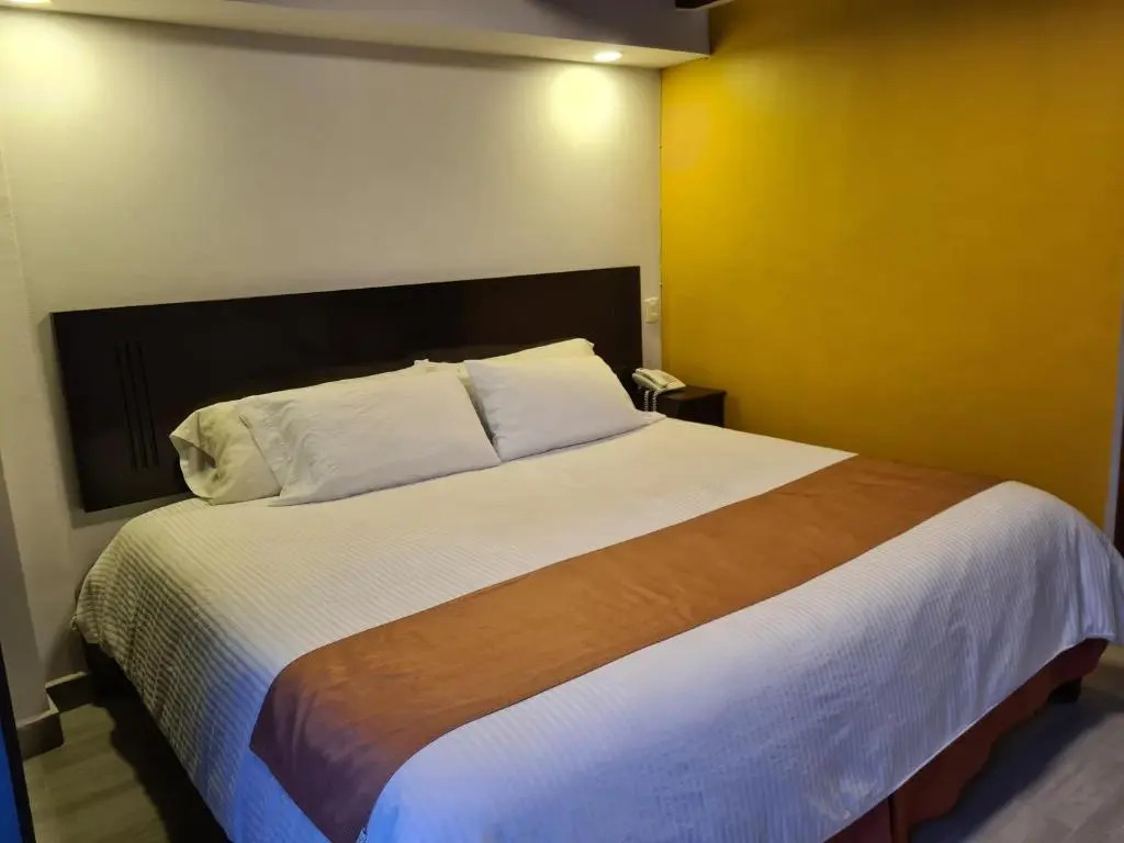 Hotel Barrio Antiguo