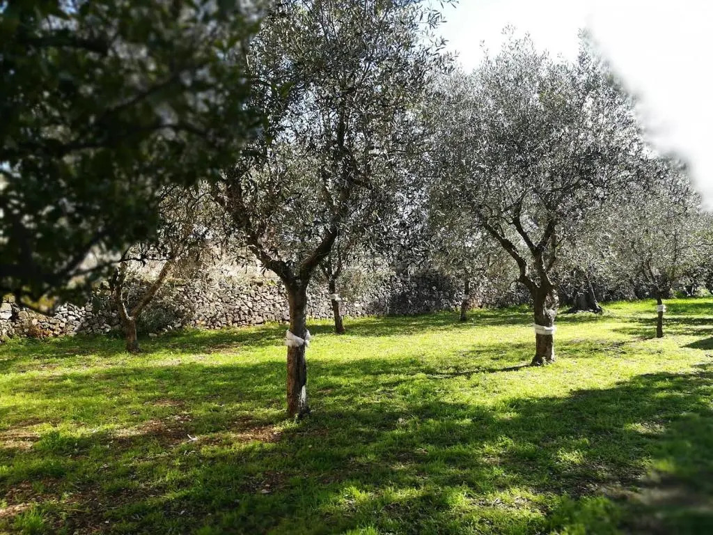 Casetta Andrea nel Verde