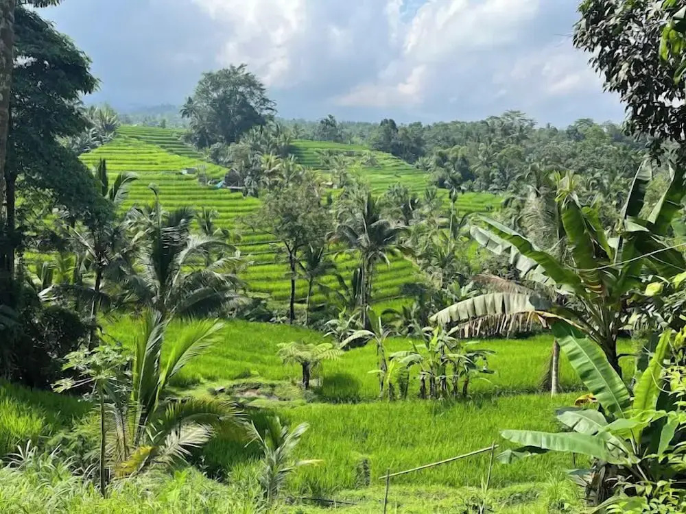 Saridevi Ecolodge