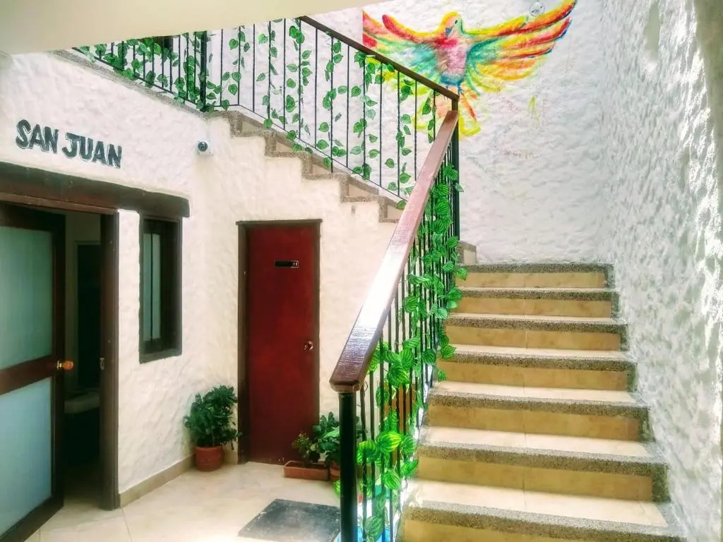 Basilica Hostal y Cafe - Hostel