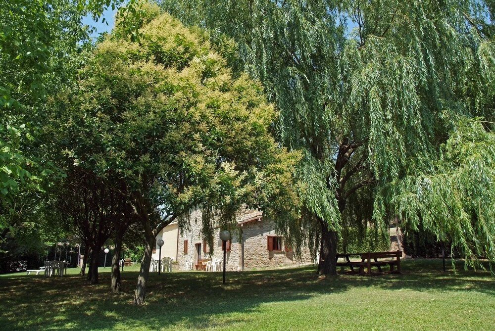 Agriturismo Nizzi