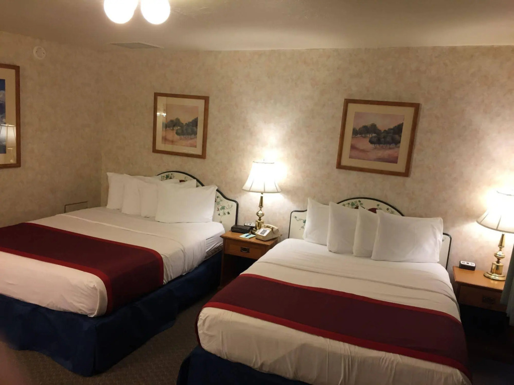 Swiss Alps Inn